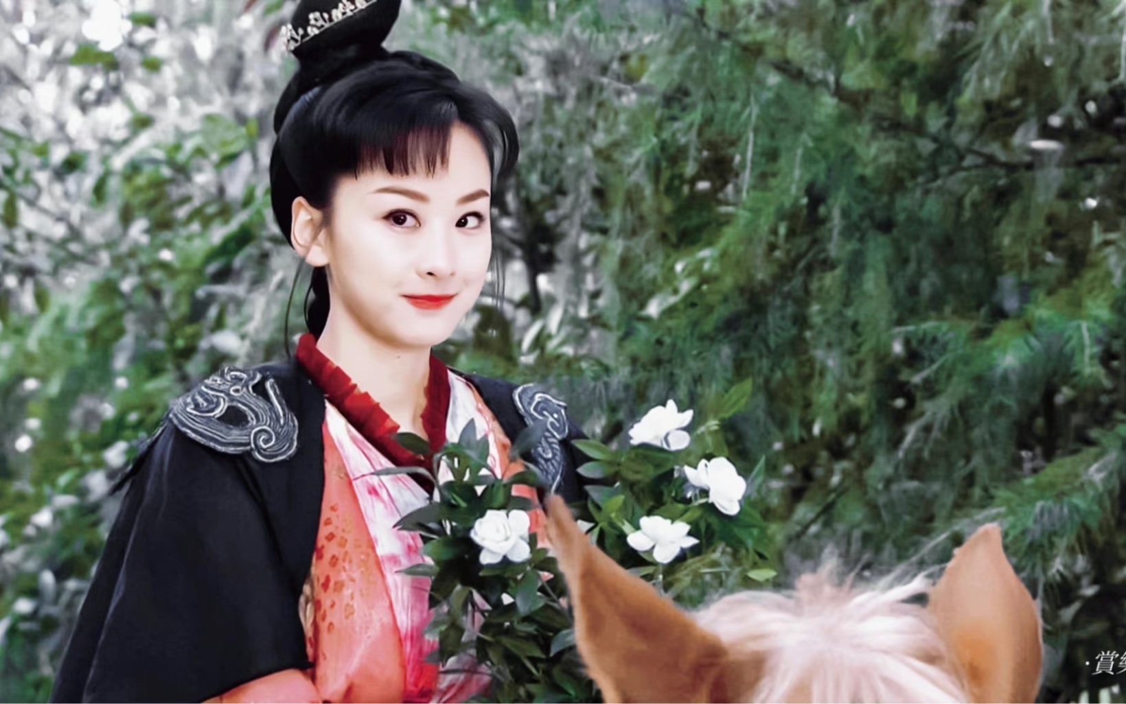 捧着栀子花的穆婷婷惊艳了我的整个青春(也可叫刘星变脸视频)