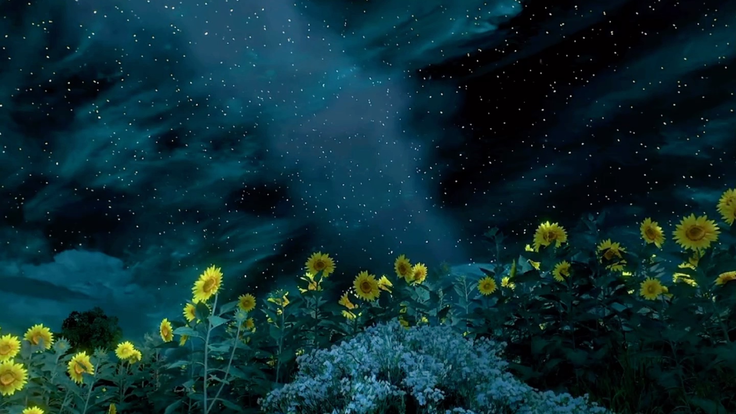 星空下的尤弥尔