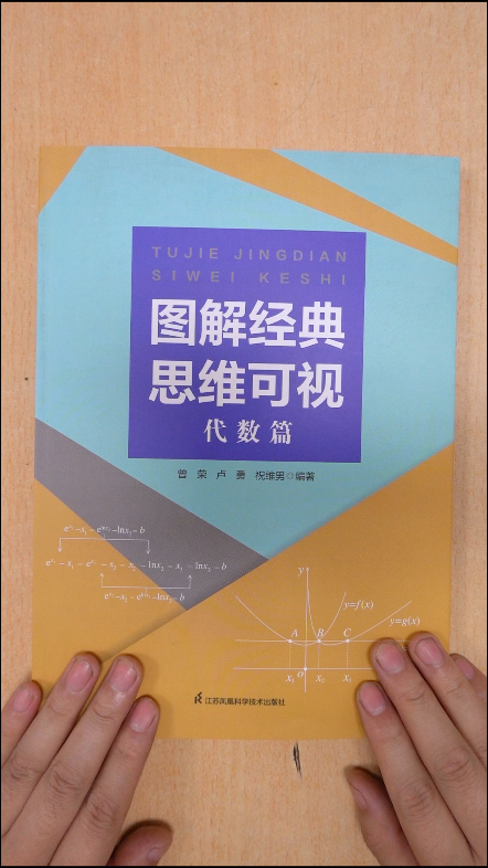 高中数学图解思维,一本被埋没的好书,让思维变得直观可见图解经典思维可视代数篇 ...哔哩哔哩bilibili