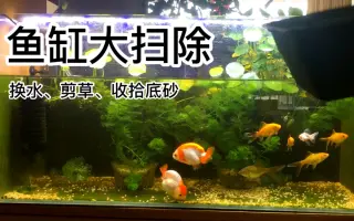 三黄粉 搜索结果 哔哩哔哩 Bilibili