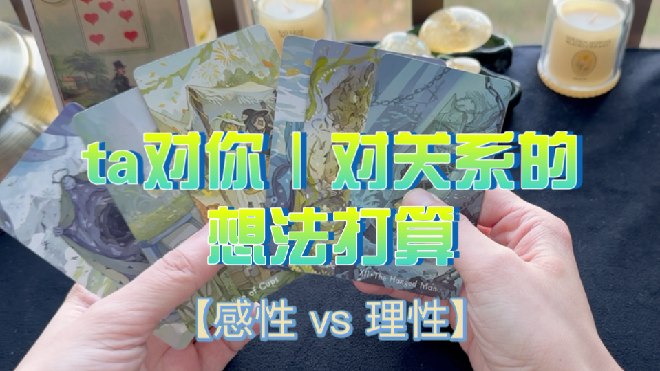 【海布莱】ta理性上对你及关系的想法打算vs感性上的想法打算(大众占卜|无时限|不限关系)哔哩哔哩bilibili