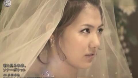 Mv Sonar Pocket 花 哔哩哔哩
