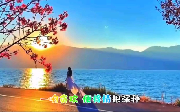 [图]CRITTY的单曲《飞花误 (dj默涵版)》2022热门DJ舞曲