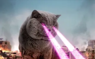 泰国的沙雕广告：泰国广告总是这么猝不及防，猫咪都能毁灭世界