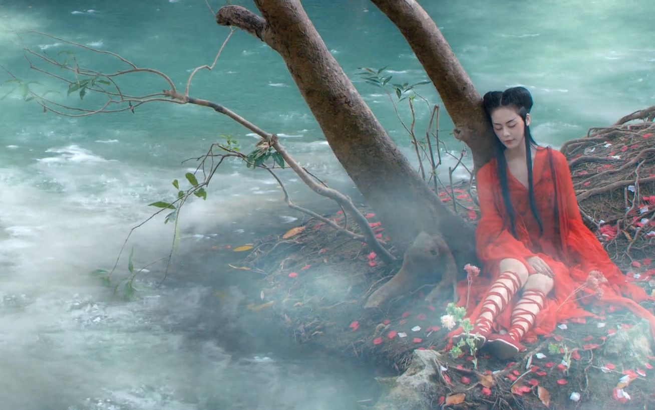 【奇花记】随便一截就是壁纸的画面