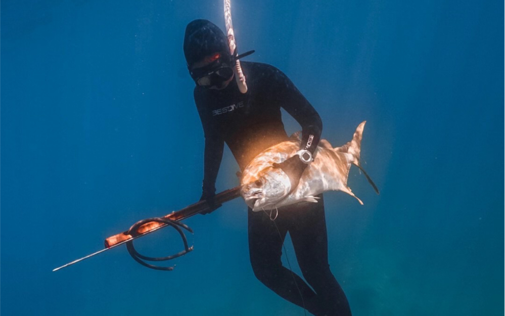 人均800一天,出海潜水捕鱼,到底能不能回本?