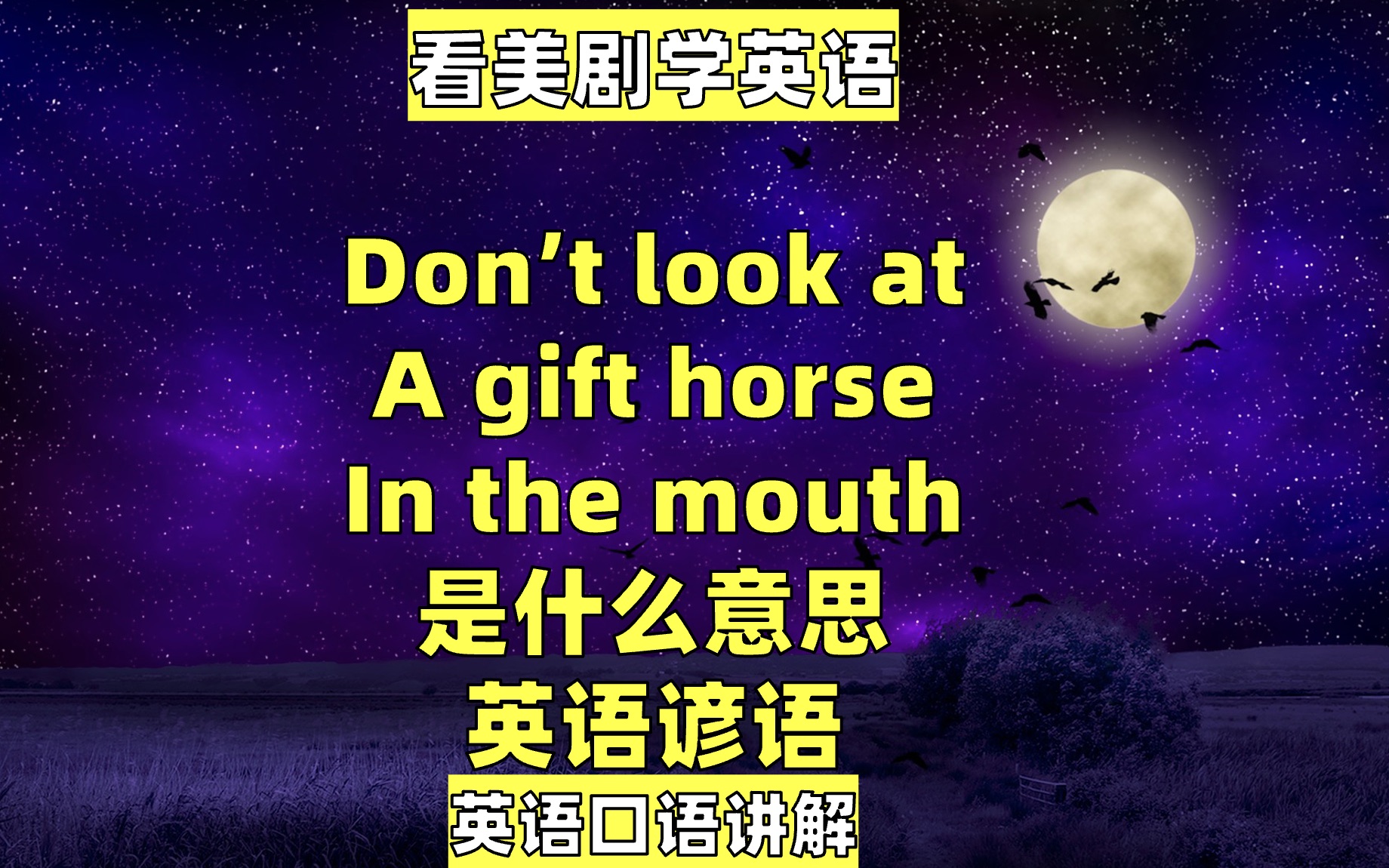 看美剧学英语:don't look at a gift horse in the mouth 是什么意思?英语口语,英语听力,英语谚语哔哩哔哩bilibili