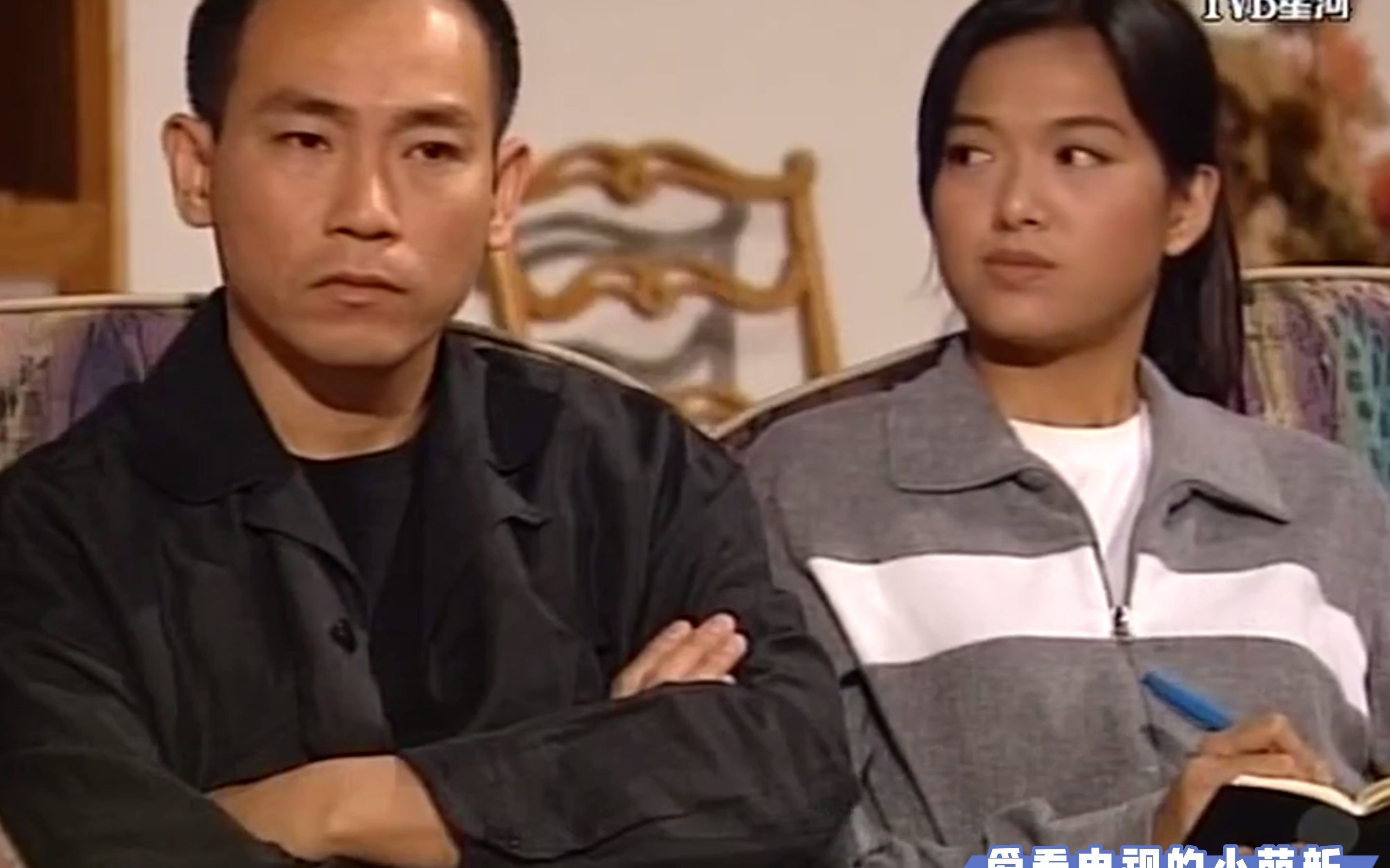 20【港剧·鉴证实录2·粤语】女模特为爱整容当小三,竟被分尸郊外!