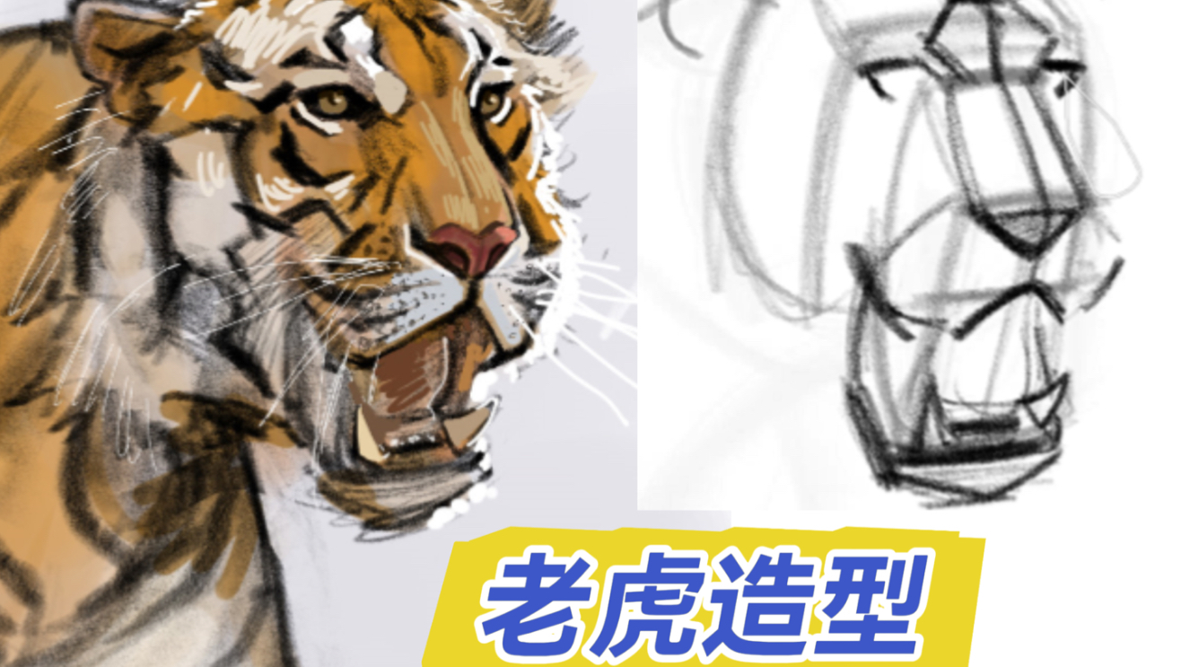 老虎居然这么画？