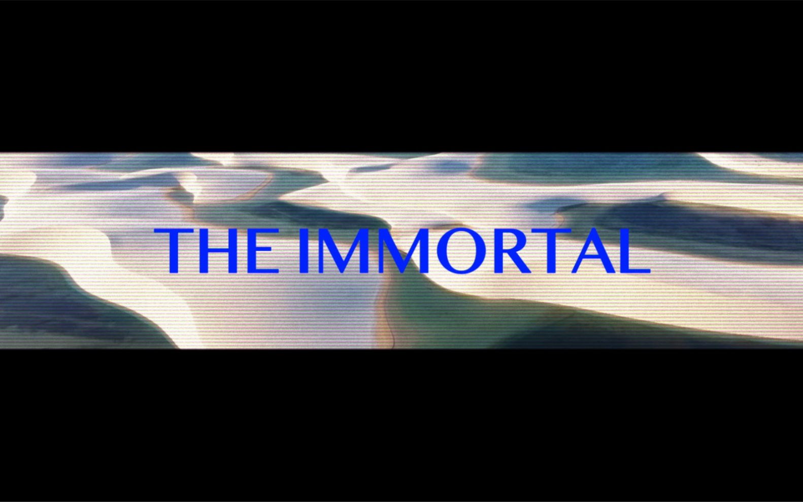 [图]【实验影片】The Immortal