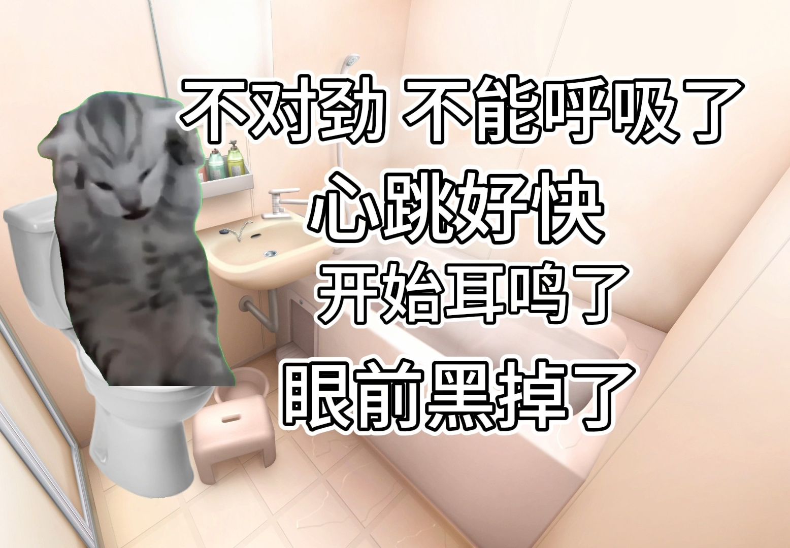 【猫meme】低血糖凌晨晕倒在厕所但无人发现的孤独感