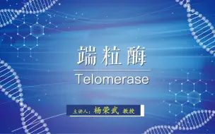 Télécharger la video: 端粒酶