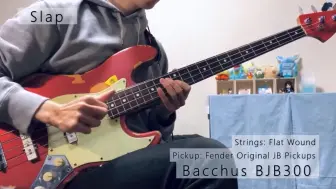 Download Video: Yamaha 雅马哈、Fender 芬达、Bacchus 巴克斯、Photogenic、Ibanez 贝斯bass音色对比试听