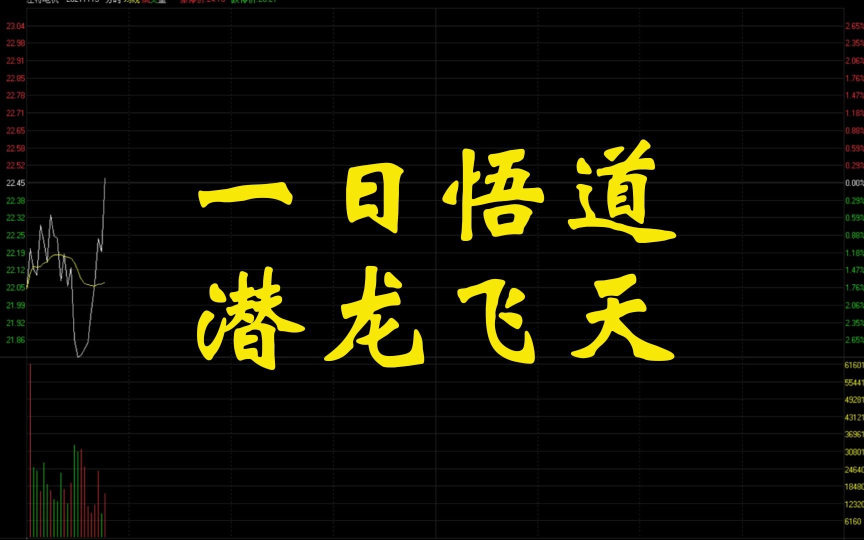 悟道路上的心得:一日悟道,潜龙飞天哔哩哔哩bilibili