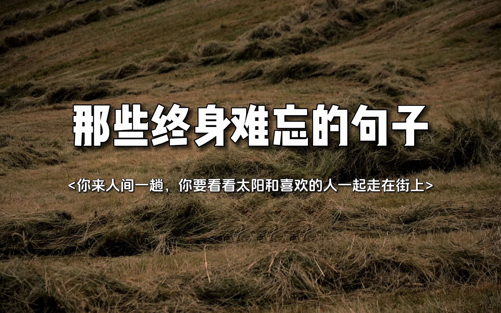 [图]“你来人间一趟,你要看看太阳和喜欢的人一起走在街上”。<那些终身难忘的句子>