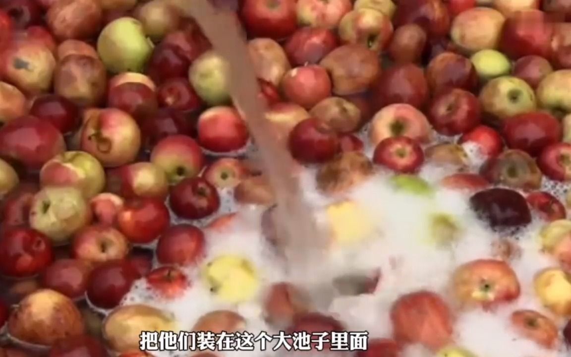 水果酒是怎么制作的,你们知道吗?哔哩哔哩bilibili