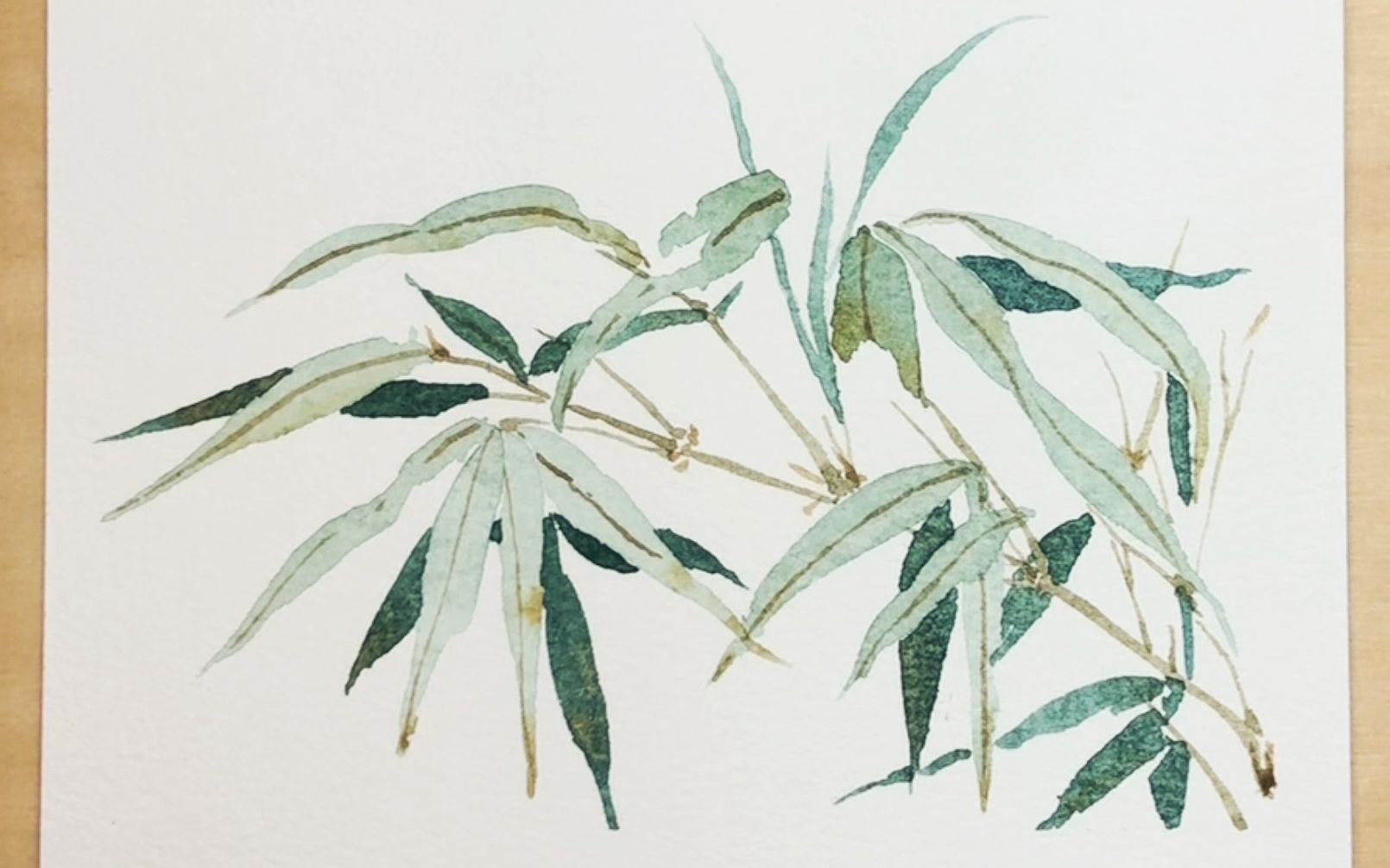 【水彩手绘】临摹诗经草木绘(介疾)—竹 绘画过程