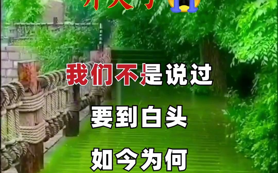 自从你走后,我心好难受,从此以后没有人相守!听哭了 扎心 伤感 热门 音乐哔哩哔哩bilibili