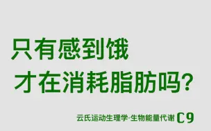 只有感到饿的时候才消耗脂肪吗？血糖调节和“糖脂跷跷板”