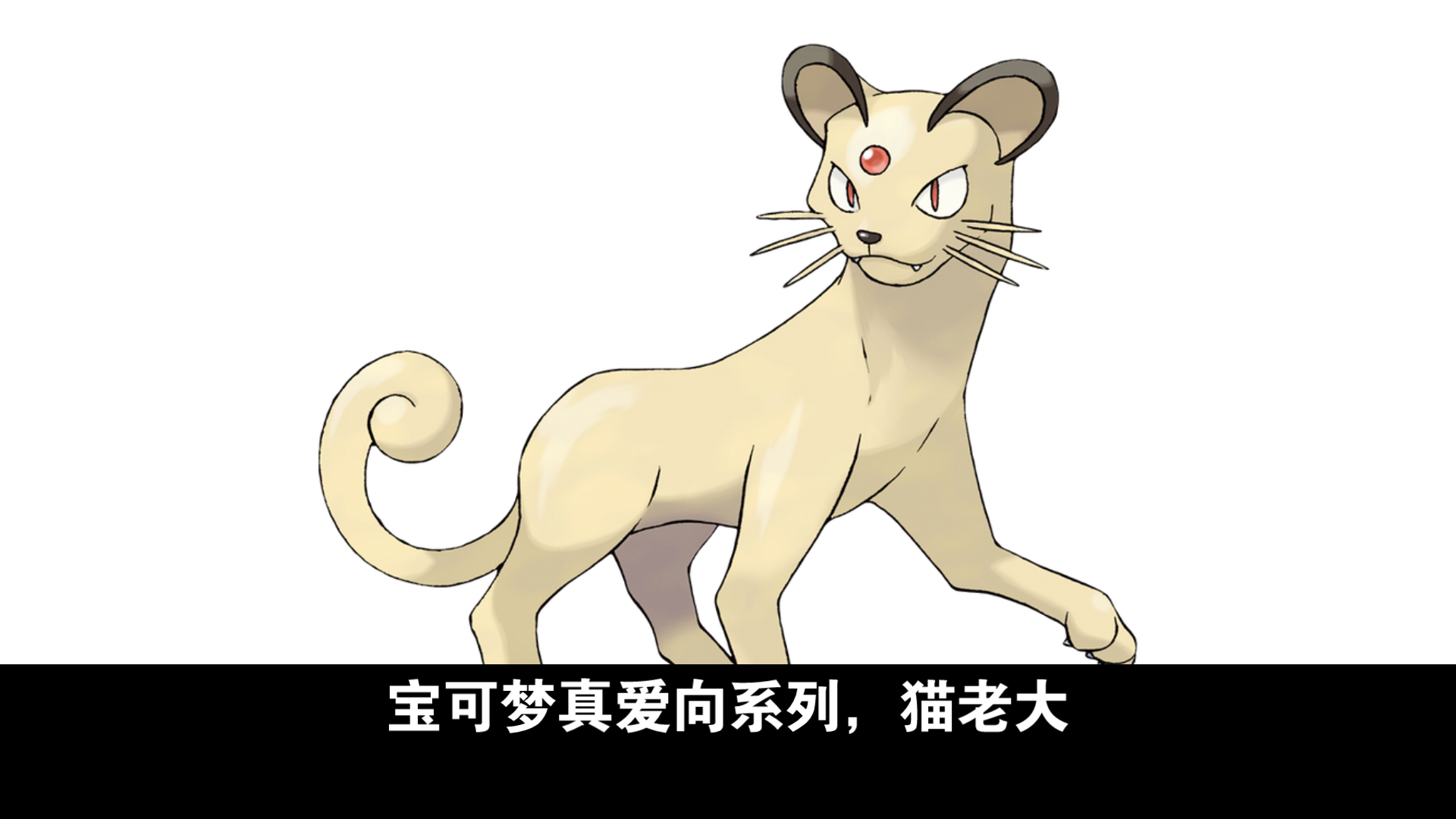 宝可梦真爱向系列,猫老大