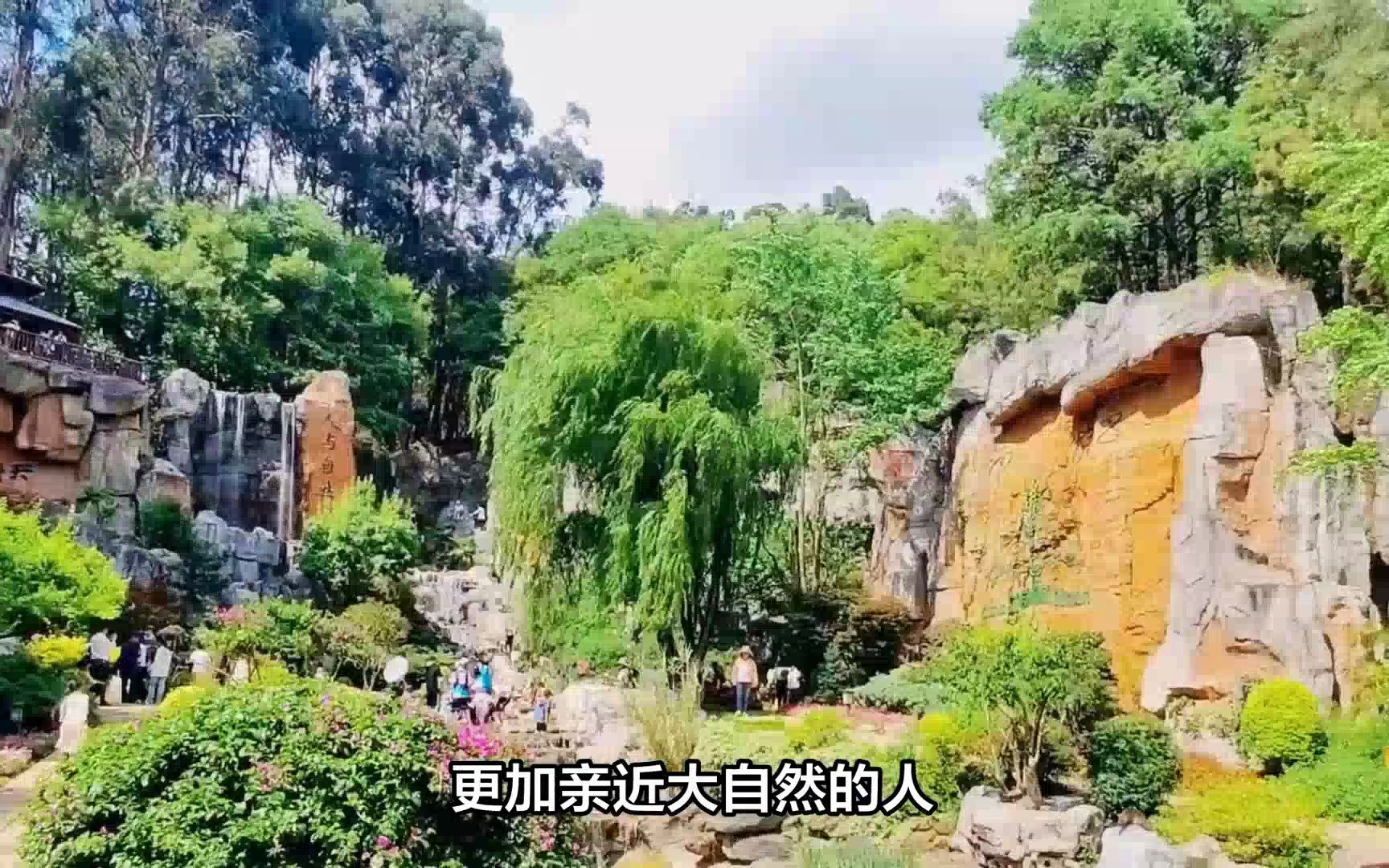 九华山旅游攻略哔哩哔哩bilibili