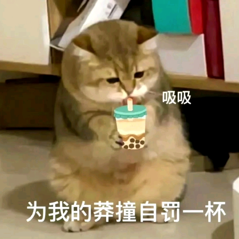 为我的莽撞自罚一杯