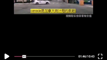 各自安好哔哩哔哩bilibili