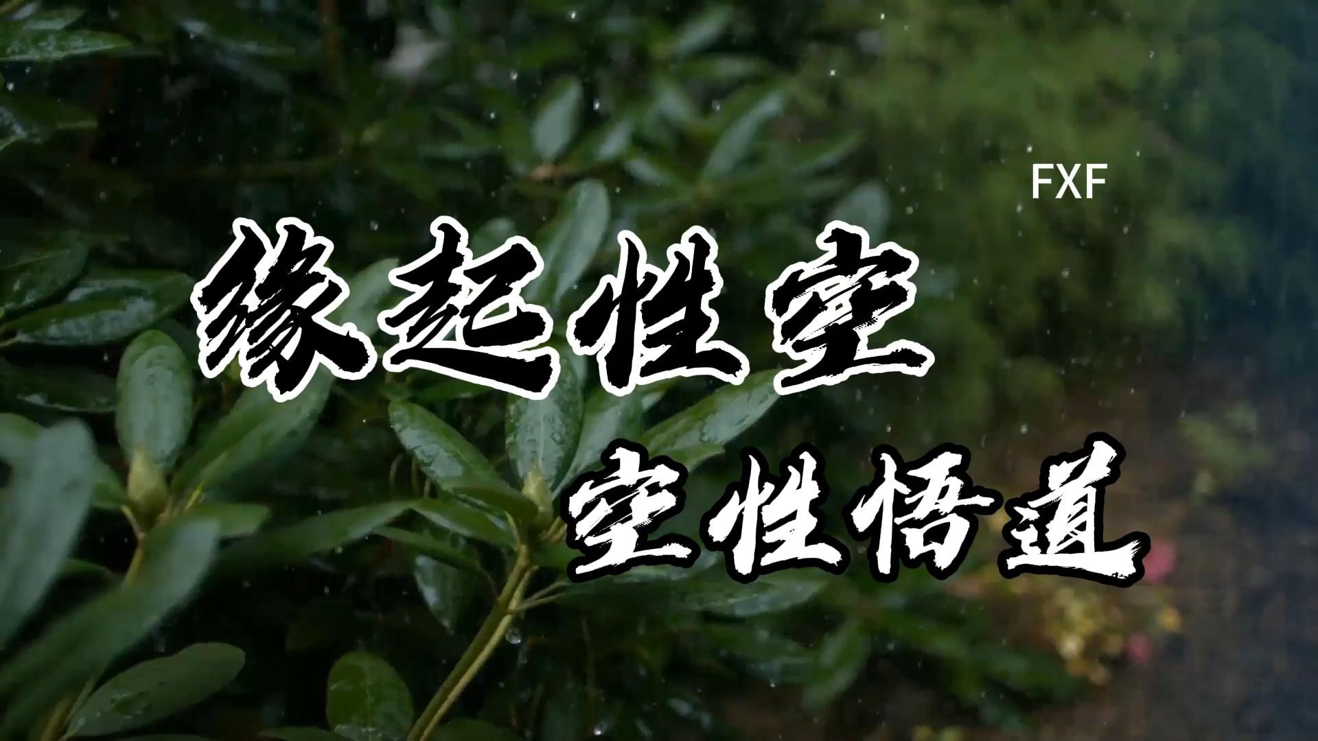 3缘起性空,空性悟道