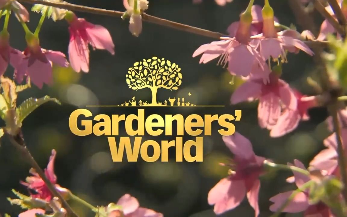 园艺世界 S56E03 英文字幕Gardeners.World.S56E03哔哩哔哩bilibili