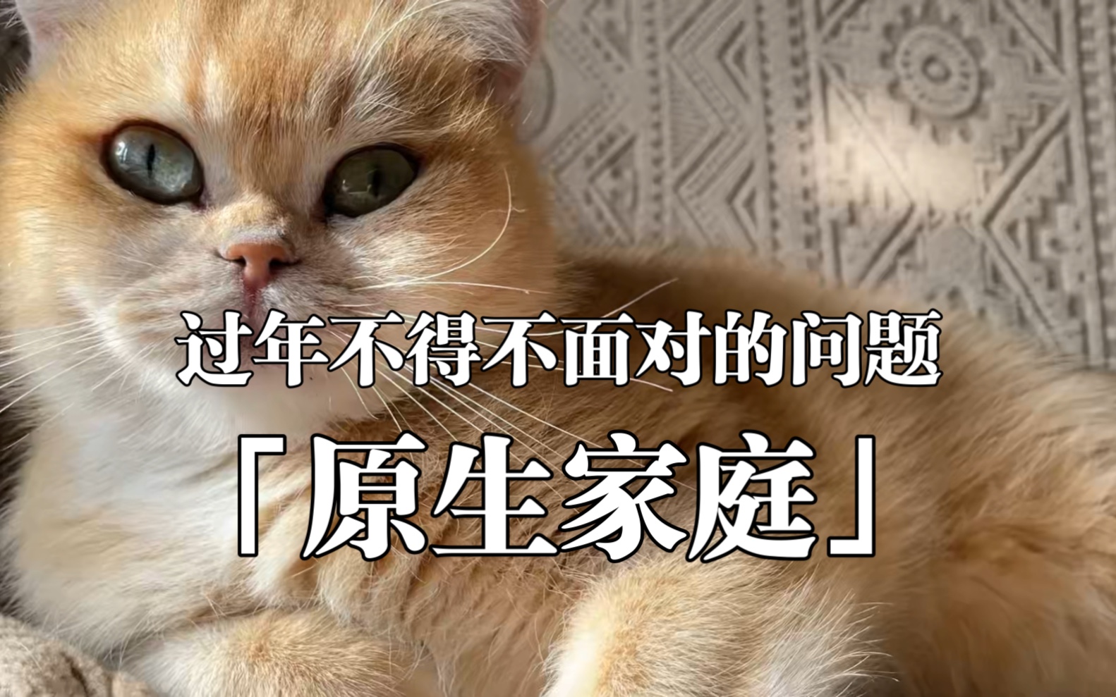 [小九絮叨]过年不得不面对的问题:「原生家庭」