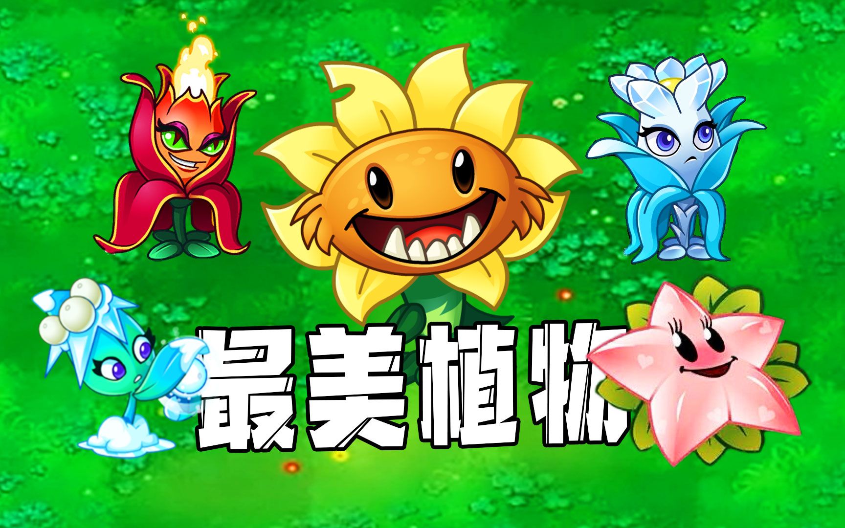 植物大战僵尸:pvz植物选美大赛,谁在你心中是最美?