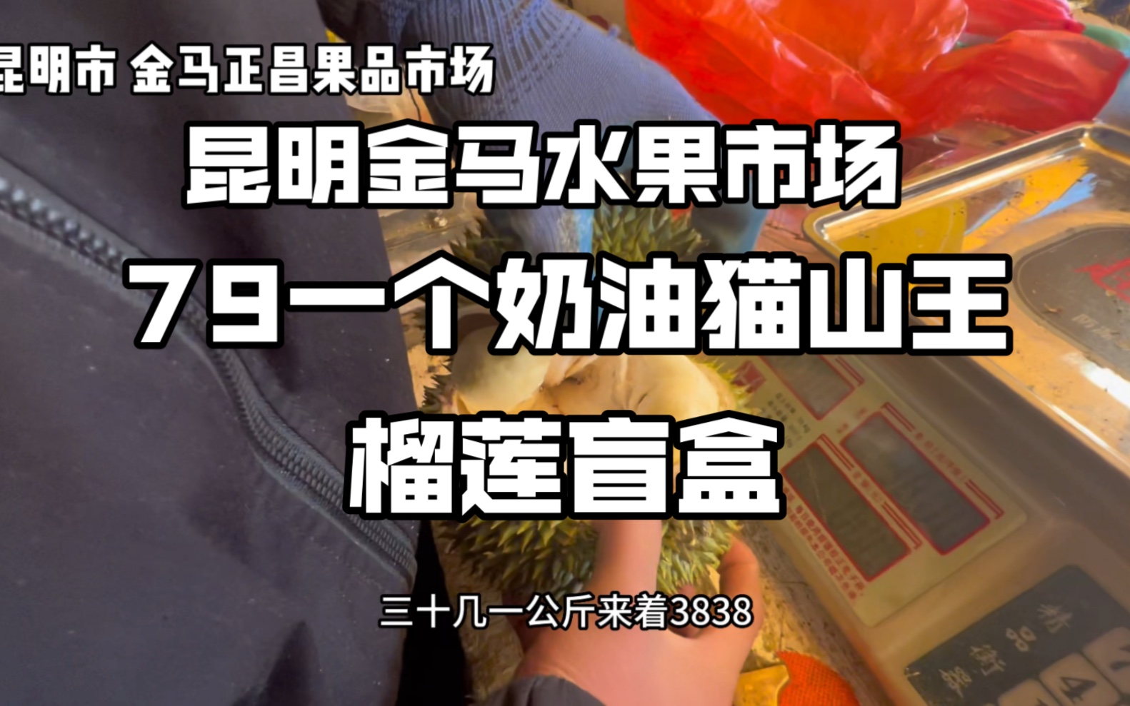 昆明金马正昌水果市场79一个的奶油猫山王榴莲盲盒,味道难以形容哔哩哔哩bilibili