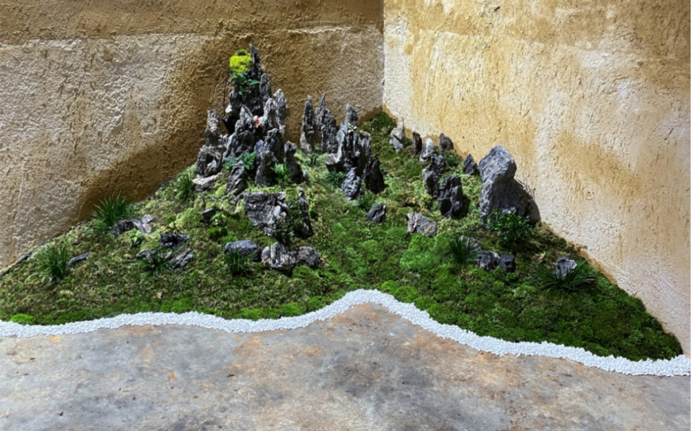 今天把山般家里来了,想看风景在家也能随时看#植物造景微景观 #苔藓微