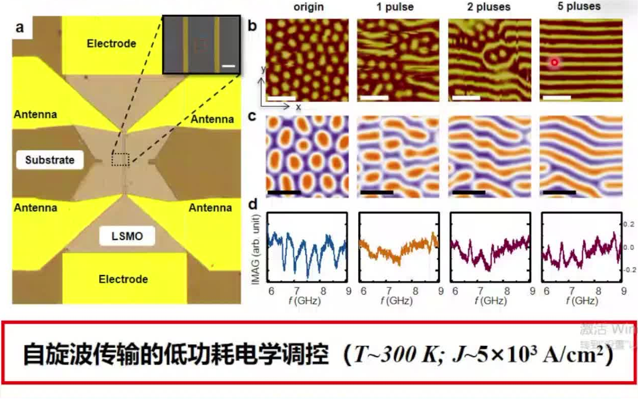 20220219北京师范大学张金星关联电子材料对称性的人工操控哔哩哔哩bilibili