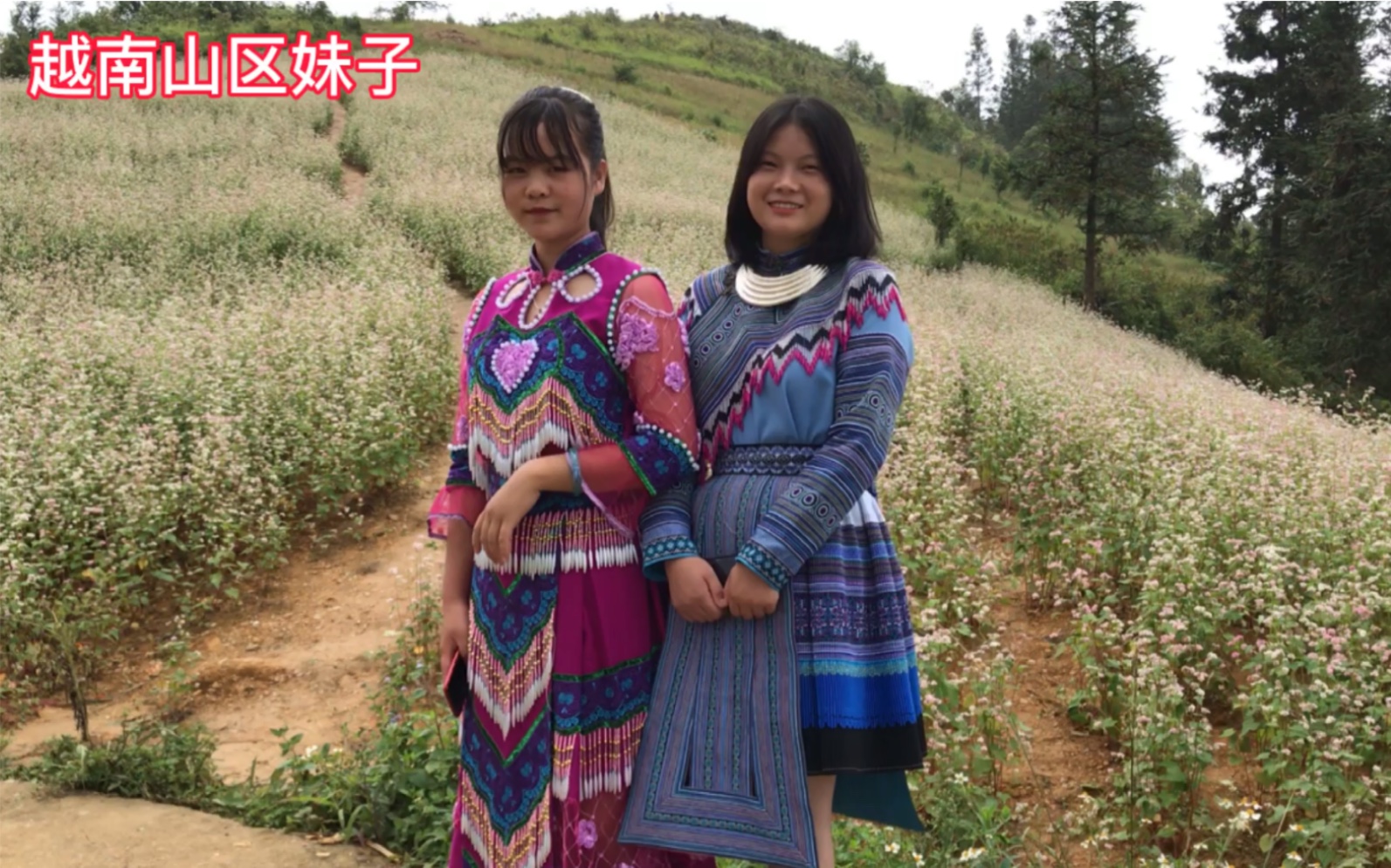 小伙子跟几个越南苗族姑娘朋友一起去山上玩,风景太美了.