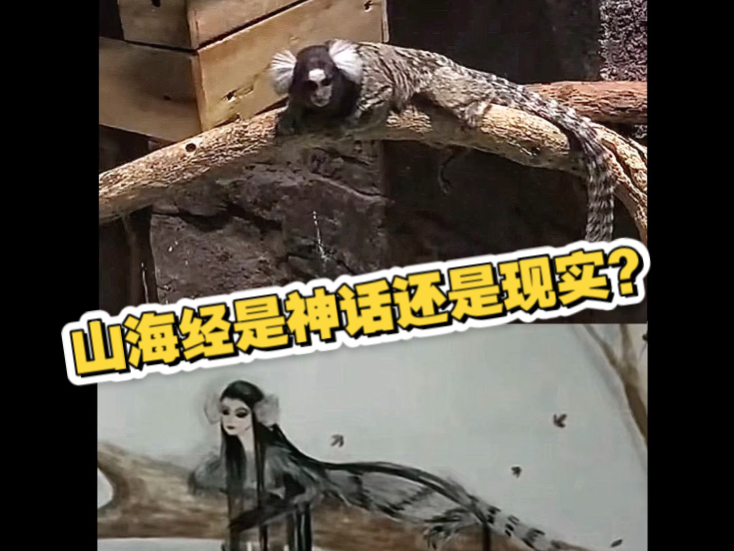 山海经记载的到底是神话还是现实？很对国外公司早已发现山海经的价值，靠挖掘山海经实现火爆变现，而我们则更应该守护与弘扬好自己的文化宝藏！