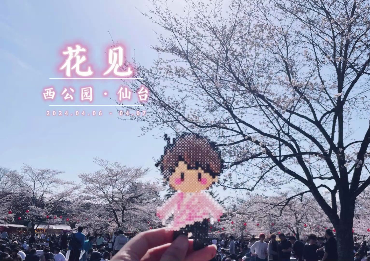 04.06 & 07 一夜春风来,千本樱花开·仙台西公园花见