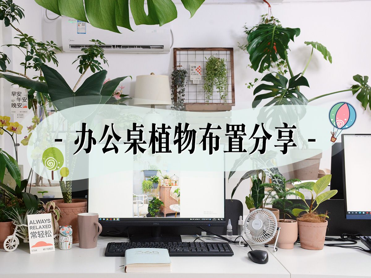 办公桌植物布置分享|晒晒我的办公桌~哔哩哔哩bilibili