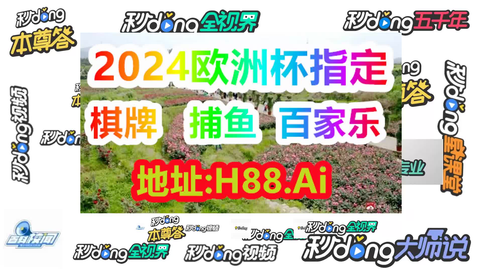 澳门今晚开特马 开奖结果课(哔哩哔哩)210期