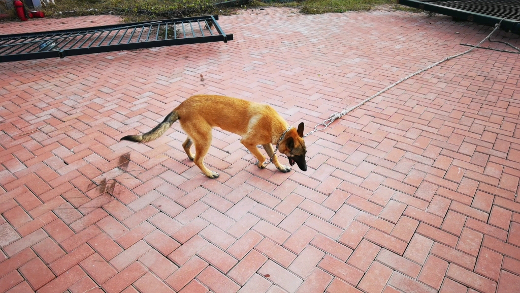 土木狗_哔哩哔哩_bilibili