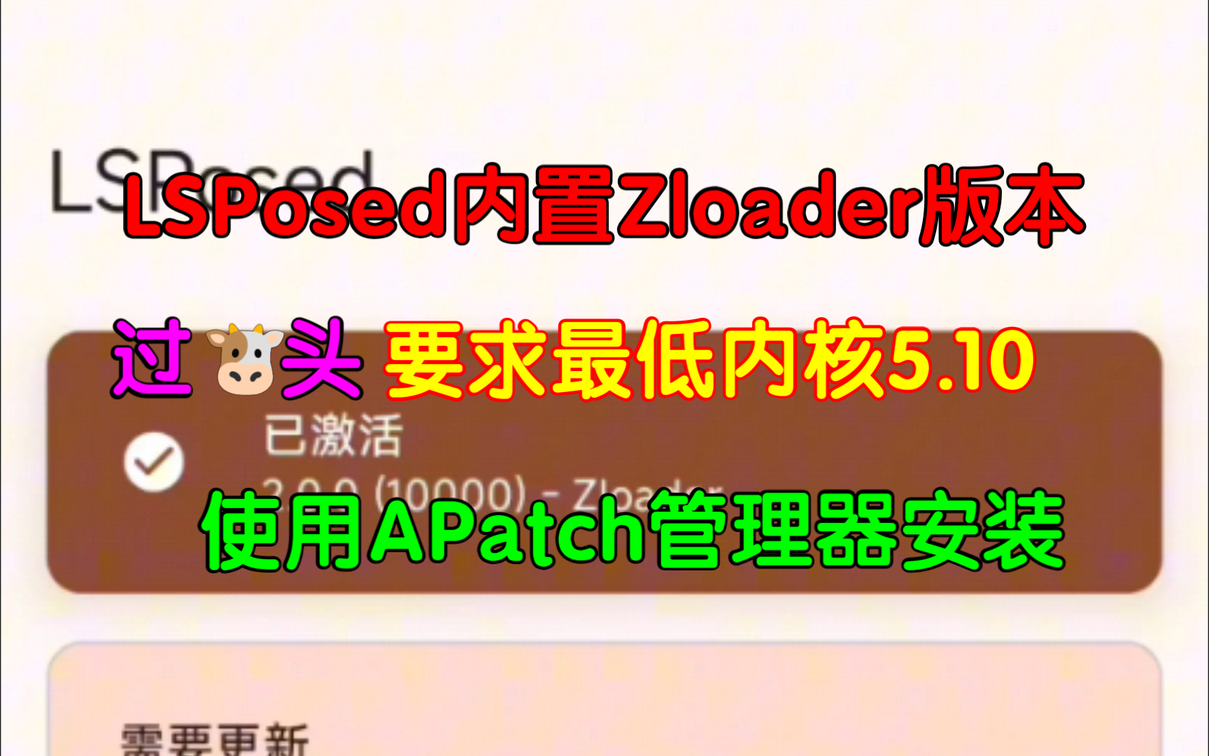 LSPosed内置Zloader,可过牛头检测,5.10内核及以上版本的福音哔哩哔哩bilibili