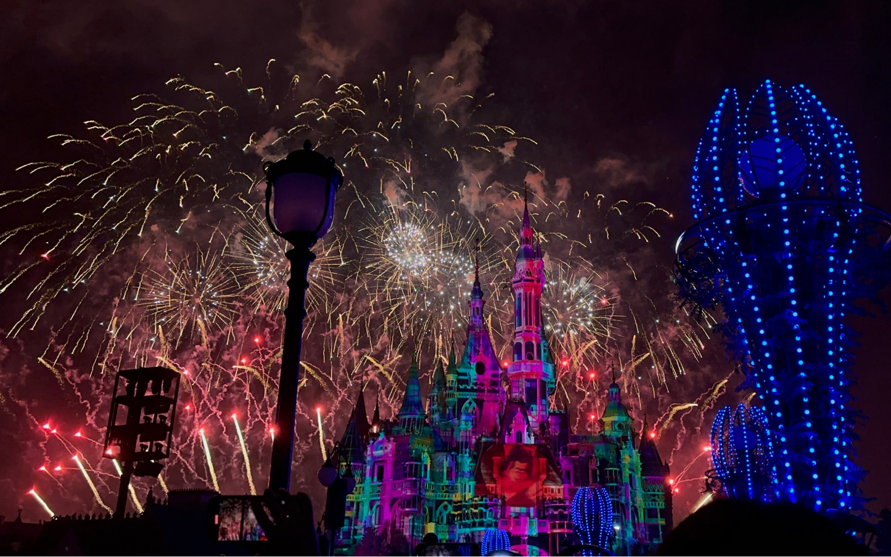 《a trip to disneyland》