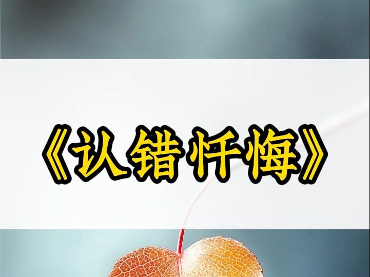 《认错忏悔》