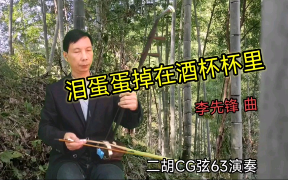 泪蛋蛋掉在酒杯杯里二胡演奏在竹林中