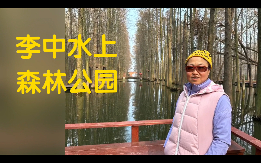 Lizhong Forest Park 李中水上森林公园哔哩哔哩bilibili