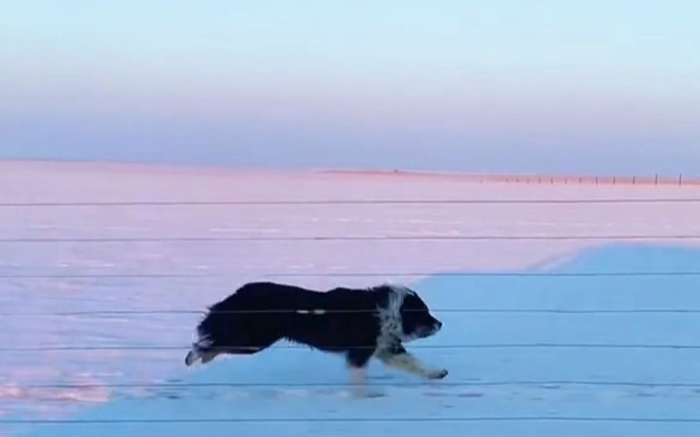 [图]此一去，风花雪月人间芳华与我无关