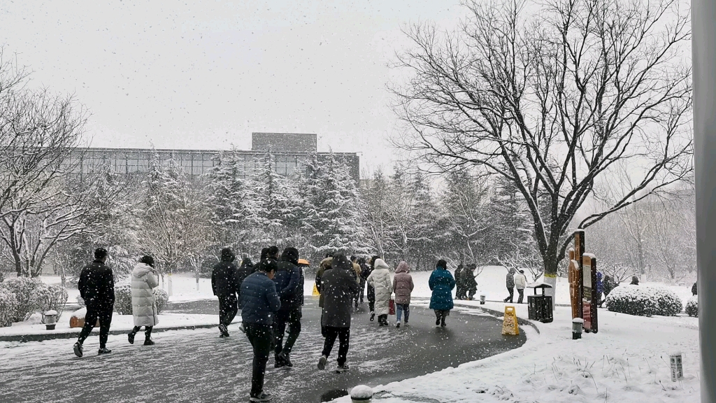 [图]北国风光~雪花飘飘