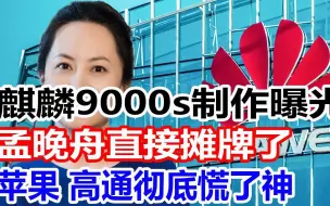 Video herunterladen: 麒麟9000s制作曝光，孟晚舟直接摊牌了，苹果 高通彻底慌了神！