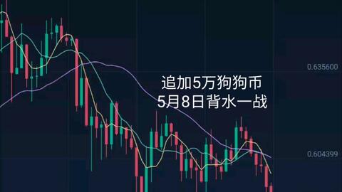 追加5万狗币 5月8日背水一战 今天是入狗币的好时机 低点备库存 炒币实况第2期 哔哩哔哩 つロ干杯 Bilibili