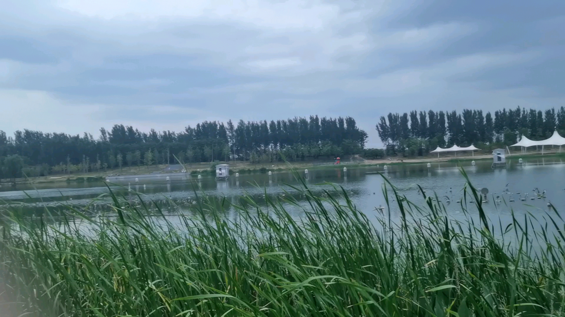 许昌秋湖湿地公园图片